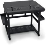 Qanba 2009 2P Game Table