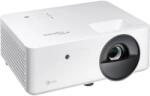 Optoma LW341 E3PB081E111 Videoproiector
