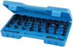 Silverline Set de prize 35 buc 633802 (633802) Set capete bit, chei tubulare