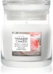 Yankee Candle White Spruce & Grapefruit lumânare parfumată Signature 110 g
