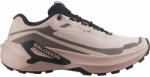 Salomon Genesis 2 Gtx W női futócipő Cipőméret (EU): 42 (2/3) / szürke