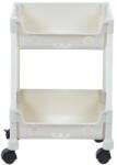 Heinner Carucior cu 2 niveluri si roti, 31.5x21x 44 cm (HR-CARTPVC-VP) Raft