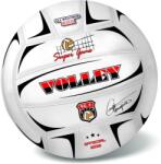 Wiky Outdoor Minge volei VOLLEY CHAMPIONS (250g) - neinflată 21 cm (WKW056917)