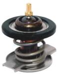 Meat & Doria Termostat, lichid racire MEAT & DORIA 92677IN (92677IN)