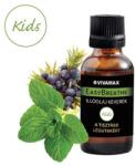 Vivamax EasyBreathe "Kids" illóolaj keverék (GYVI21) - csillag