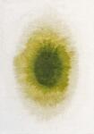Louis De Poortere mosható műszálas szőnyeg Drop Green Pepper 2105 - 140 x 200 cm