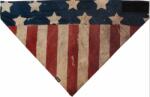 ZANheadgear Bandana SPORTFLEX SERIES AMERICAN FLAG