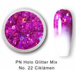 PN Holo glitter mix No. 22 Ciklámen