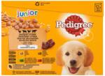 PEDIGREE Junior csirke-bárány-baromfi-marha aszpikban 12x100 g