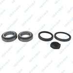 GSP Set rulment roata GSP GK1444 (GK1444) - fixbox