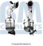 Bm Catalysts Catalizator BM CATALYSTS BM80781H (BM80781H)