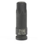 STELS T100 13974