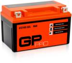 GP-PRO 12V 9Ah 190A GTZ10S (GP-004)