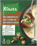 Knorr Erdei Gombakrémleves 48g - patikamra
