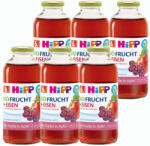 HiPP BIO Alma-szőlő-arónia gyümölcsnektár C-vitaminnal és vassal 6 hó+ (6x500 ml) (HU8104-S)