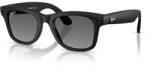 Ray-Ban Meta Wayfare S MT Polar Gr Gen2 (RW4012 601ST3 50-22) - vexio