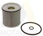 MOTAQUIP Filtru combustibil MOTAQUIP LVFF863 (LVFF863) - fixbox
