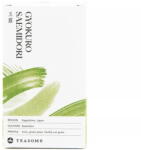 Teasome - Gyokuro Saemidori - Loose Tea 50 g (cfd-2206000192)