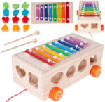 MalPlay Cărucior de muluri din lemn Xilophonic - cu elemente colorate (1363E8)