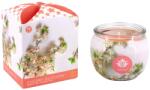 Arôme Lumânare parfumată în pahar Floare de cireș 90 g