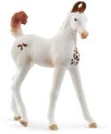 Schleich Schleich, Horse Club, Manzul Marwari, figurina, 14896 Figurina