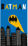Batman Call Sign kéztörlő, arctörlő, törölköző 30x50 cm (CBX235014BAT) - ostore