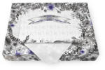 TORF Aleză igienică de unică folosință pentru orificiul facial al mesei de masaj, X, țesătură, ambalaj violet, 100 buc
