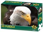 3D puzzle - Sas