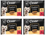 Cesar Creations 16×100 g Pui cu mazăre și Carne de vită cu morcovi în sos