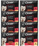 Cesar Creations 32×100 g Pui cu mazăre și Carne de vită cu morcovi în jeleu