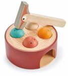 Tender Leaf Jocarie educativa de indemanare, Jocul Ciocanitoarei, Tender Leaf Toys - Woodpecker Game, din lemn premium, 6 piese, 18+ luni (TL8349)