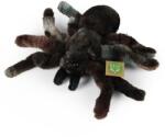 Rappa Păianjen de pluș 20 cm ECO-FRIENDLY PLUSH WORLD (RP262621)