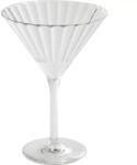APS Pahar pentru martini Perfection 200 ml, din plastic Pahar