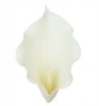 Bomm Kála művirág Krémszínű fej 9 cm 6 Db (W045-025)