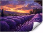 MPINK Fotótapéta Levendula mezők naplemente a tájban 400x280 cm (GP-FTAP_6_VSC_4X2,8M-0047)