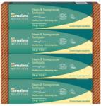 Himalaya Organikus fogkrém Neem & Pomegranate Fluormentes 150g, 4op (B8901138816629v4)