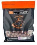 Ultimate Products Ultimate Scopex Squid protein golyók 18mm 1kg (MB55SS18)