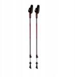 Blizzard Nordic walking botok Blizzard Alu Performance Antracit 105-135 cm (210350)