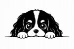 dobry Autós Matrica - Kutya Cavalier King Charles Spániel matrica, tuning kutyus