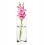 Altom Design Virágváza magas üveg Altom Design henger 20 cm lakberendezés (0103016908)