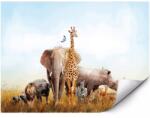 MPINK Öntapadós fotótapéta Szafari állatok a szavannán 150x105 cm (MP-FTAP_5_EST_1,5X1,05M-0058)