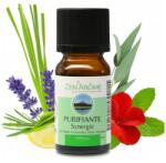 Zen Arome Tisztító Zen'Arôme 100%-os tisztaságú természetes illóolaj-szinergia a levegő megtiszításához (Purifiante synergie) 10ML (SYHE-ATA)