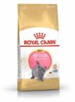 Royal Canin FBN BRITISH SHORT KITTEN 2kg szárazeledel brit kölyökmacskáknak