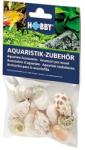 Hobby Aquaristik HOBBY Sea Shells Set M 10db - dekoráció akváriumba