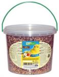NESTOR Táp kanáriknak gyümölccsel 3l/1800g