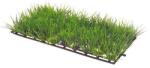 Hobby Aquaristik Műnövény Plant Mat 1 12, 5x25cm szőnyeg