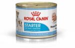 Royal Canin STARTER MOUSSE 195g eledel vemhes és szoptató szukáknak és kölyköknek