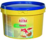 ASTRA TEICH STICKS 10l/ 1500g kerti tavi díszhalak úszó pálcika formájú főeledele