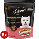 Cesar kutyatáp csirkével és lazaccal 6x800g