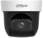 Dahua SD29204DB-GNY